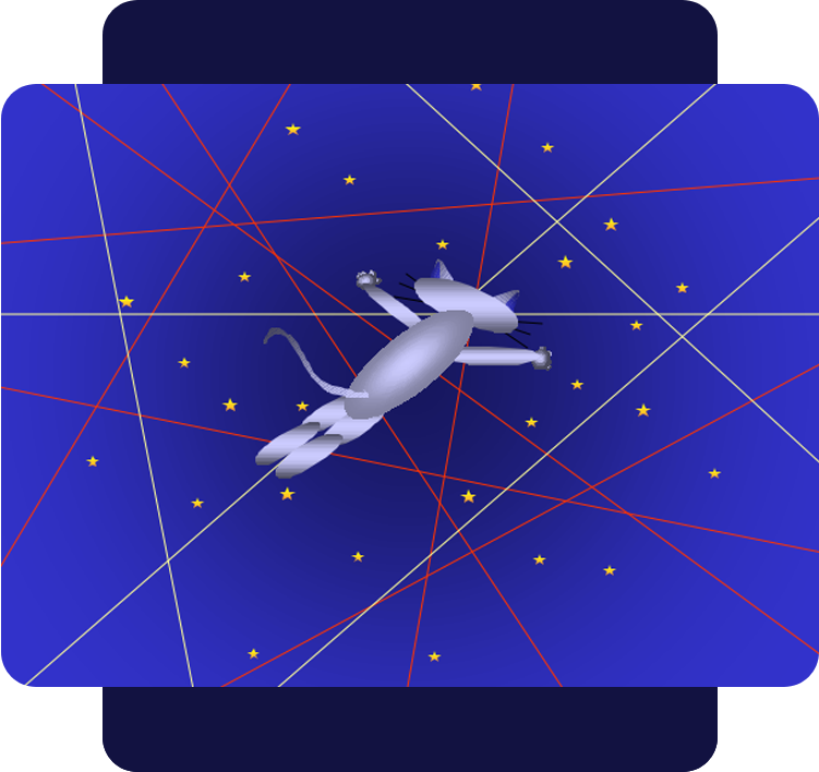 Backside image of cat on a blue background with stars and lines